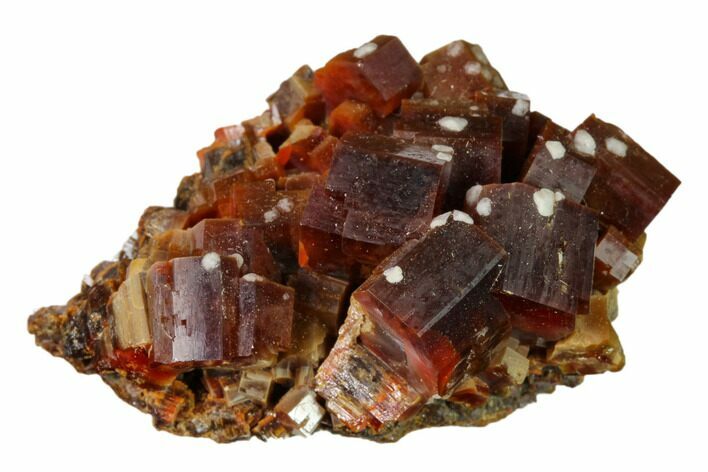 Deep Red Vanadinite Crystal Cluster - Huge Crystals! #157029